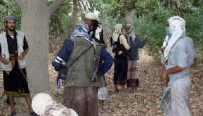 جوائز مالية من القاعدة لمن يقتل سفير أميريكا أو أحد جنودها