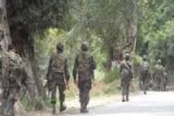 القضاء على إرهابيين و إسترجاع سلاحين من نوع كلاشينكوف بتبسة