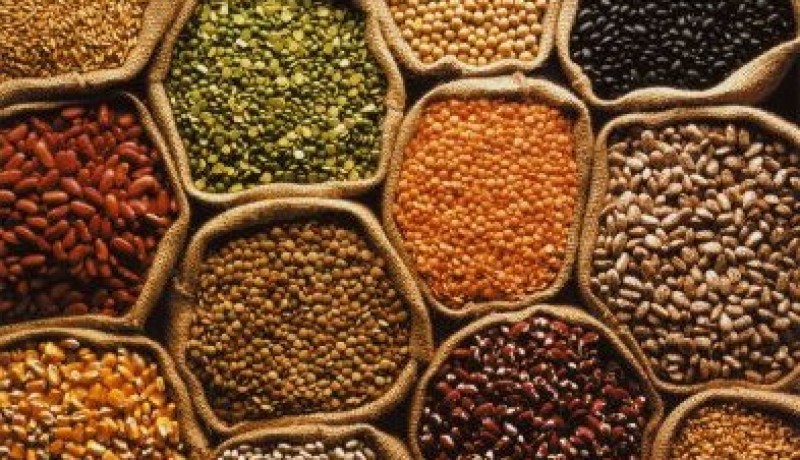 فتح فرع للديوان الوطني للحبوب و الخضر الجافة بتندوف