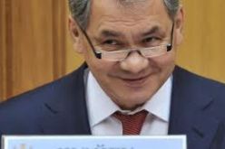 وزير الدفاع الروسي: بإمكان موسكو ولندن إقامة تعاون عسكري
