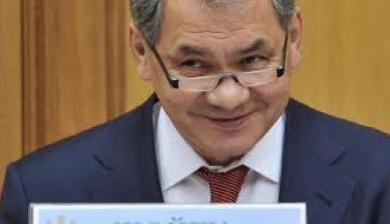 وزير الدفاع الروسي: بإمكان موسكو ولندن إقامة تعاون عسكري