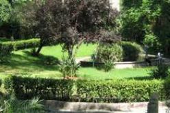 مخطط للنهوض بالبيئة والمساحات الخضراء عبر بلديات ولاية النعامة