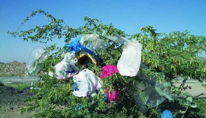 حملة تنظيفية في ام بواقي لجمع الاكياس البلاستيكية
