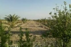 فلاحون ببسكرة يقطعون أكثر من 80 كلم مشيا على الأقدام لتبليغ انشغالاتهم الى المسؤولين المحليين