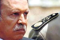 شخصيات  ترشحت لرئاسيات 2014 و اخرى لم تختار بعد