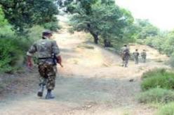 القضاء على إرهابي بإفتيسان بتيزي وزو