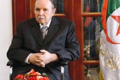 بعد عودة الرئيس بوتفليقة لأرض الوطن حديث عن مجلس وزراء مرتقب