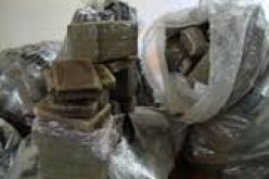 حجز حوالي 78 طنا من القنب الهندي في الجزائر خلال السداسي الأول من سنة 2013