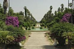 إحصاء أزيد من 1300 فضاء لانجاز مساحات خضراء بالعاصمة