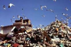 دليلة بوجمعة تؤكد أن مركز الردم التقني لولاد فايت سيحول إلى حديقة عمومية