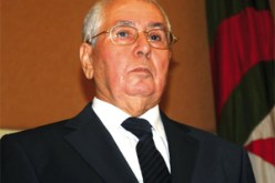 التجمع الوطني الديمقراطي يعتمد رسميا قرار تشكيل اللجنة الوطنية لاستعادة صفة عضوية المناضل في الحزب