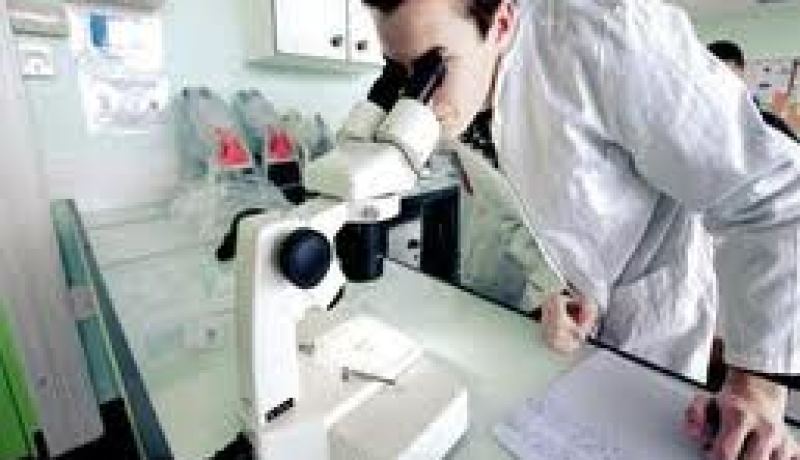 ارساء شراكة استراتيجية في مجال الصحة بين الجزائر والولايات المتحدة