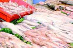 انشاء أسواق لبيع السمك بالجملة على مستوى الولايات الساحلية الـ 14