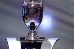 المانيا تسعى لاستضافة الدوري نصف النهائى والنهائى كأس أمم أوروبا2020