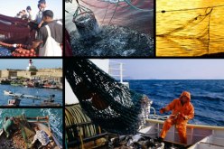 إتفاقية إطار للتكفل الصحي بمهنيي الصيد البحري بوهران