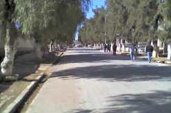 استفادة ولاية عين الدفلى من 20.100 مساعدة لإنجاز سكنات ريفية