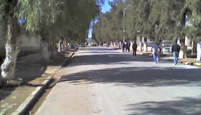 استفادة ولاية عين الدفلى من 20.100 مساعدة لإنجاز سكنات ريفية