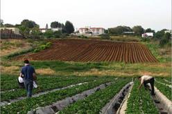 الجزائر ستوقع اتفاقات مع عدة بلدان في أكتوبر حول الشق الفلاحي