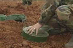 الجزائر تجدّد التزامها التّام ضمن الإتفاقية حول حظر الألغام المضادة للأشخاص