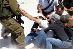قوات الاحتلال تعتقل 14 فلسطينيا بالضفة الغربية