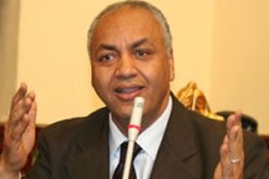سوريا هي العروبة وإذا سقطت فالدور على مصر