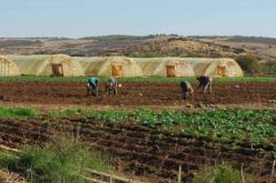 28% من المستثمرين الفلاحيين تحصلوا على عقود الامتياز ثلاثة أشهر قبل انقضاء الأجل