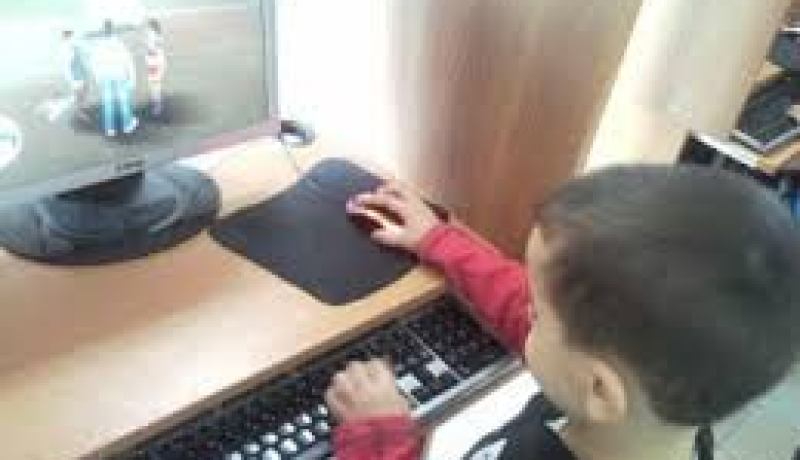 990 موقع للأنترنت ناشط من مجموع 4 ألاف موقع ينتهي ب”.دي زاد”
