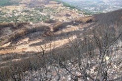 حريق مهول يقضي على عشرات الهكتارات من مساحات الغابات بمغنية