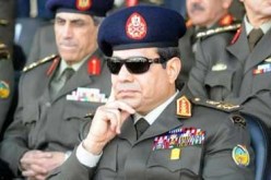 جبهة ثوار مصر تطالب منصور والسيسى بفرض حظر التجوال ، وتؤيد التظاهر السلمى للاخوان