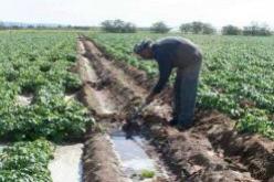 نحو شطب حوالي 3 آلاف فلاح من سجل غرفة الفلاحة بوهران