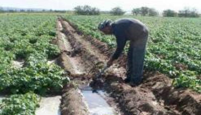 نحو شطب حوالي 3 آلاف فلاح من سجل غرفة الفلاحة بوهران