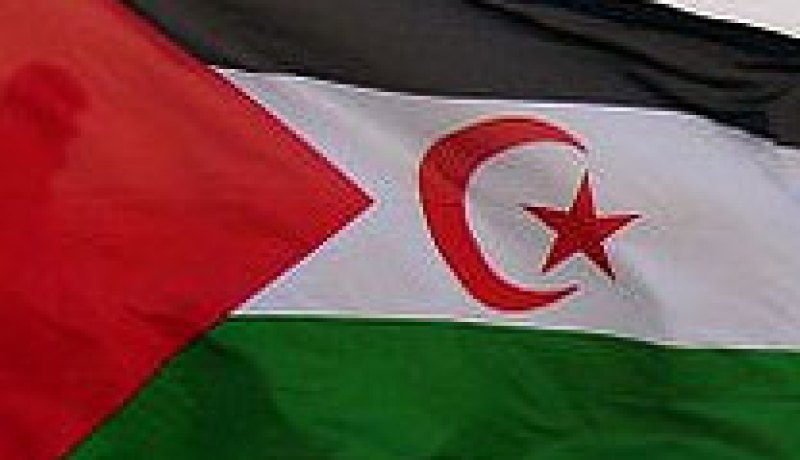 وزارة الاعلام الصحراوية تدعو الى توفيرالحماية الدولية للمدنيين الصحراويين
