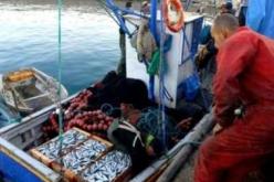 60 مليار دج من الاستثمارات في قطاع الصيد البحري و تربية المائيات عبر الوطن