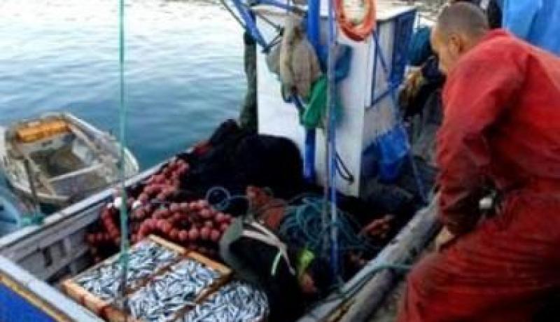 60 مليار دج من الاستثمارات في قطاع الصيد البحري و تربية المائيات عبر الوطن