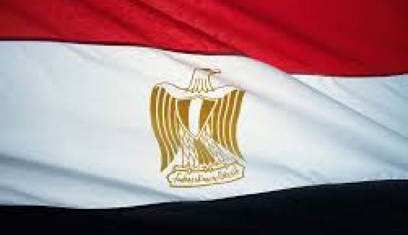 إحالة بلاغات تتهم معارضين بالدعوة إلى قلب نظام الحكم في مصر