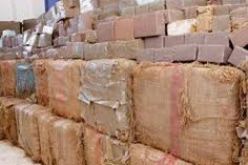 حجز اكثر من 15 قنطار من الكيف المعالج في  حدود تلمسان مع المغرب