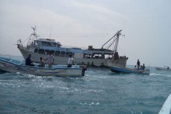 دورية لخفر سواحل بوهران توقف 6 رعايا مغاربة على متن قارب مطاطي متلبسين بتهريب كمية من المرجان