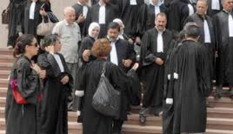 135 مادة تحدد القواعد العامة لمهنة المحاماة و كيفيات تنظيمها