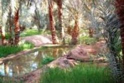 الثروات المعدنية مكسب لتنمية قاعدة صناعية بالجنوب الغربي للبلاد