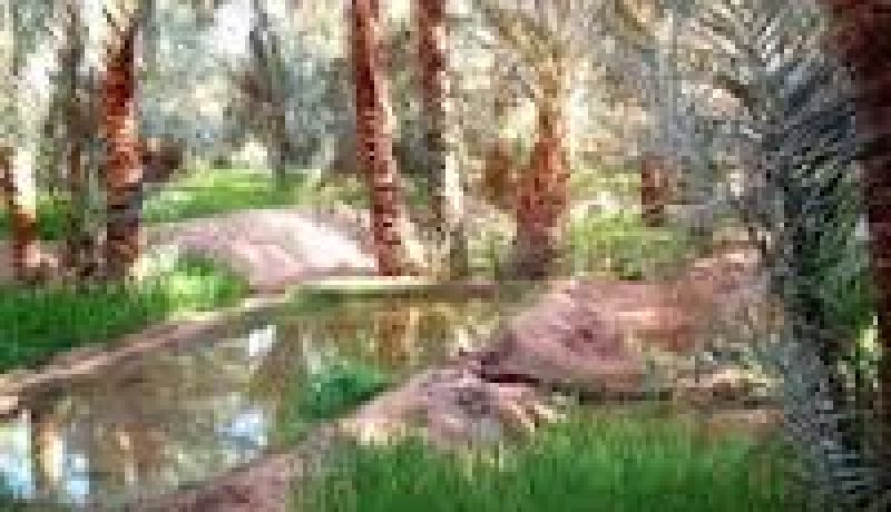 الثروات المعدنية مكسب لتنمية قاعدة صناعية بالجنوب الغربي للبلاد