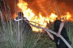 مصالح الحماية المدنية تسيطر على ثلاث حرائق بولاية وهران