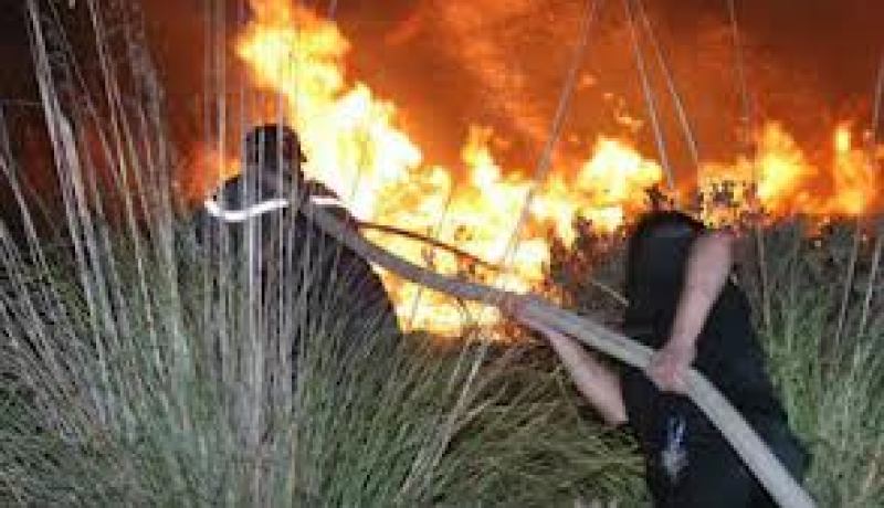 مصالح الحماية المدنية تسيطر على ثلاث حرائق بولاية وهران