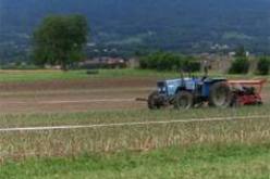 العدالة تصدر أحكاما نهائية تقضي بطرد الفلاحين الذين وهبوا أكثر من 10 سنوات لخدمة الأراضي