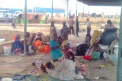 عائلة من النيجر تهرب إلى الجزائر و تسكن في العراء