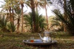 80 ورشة في إطار برنامج الجزائر البيضاء للسنة الجارية بورقلة