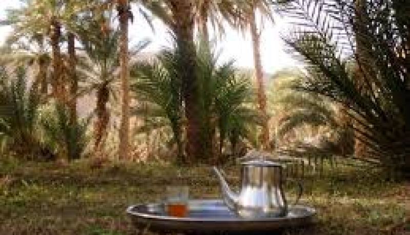 80 ورشة في إطار برنامج الجزائر البيضاء للسنة الجارية بورقلة