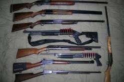 إرجاع أكثر من 380 بندقية صيد الى أصحابها بولاية الأغواط