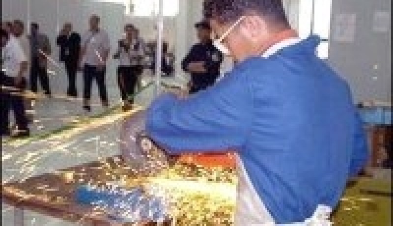 83 بالمئة من المتربصين و المتمهنين يستفيدون من تكوين في المهن اليدوية