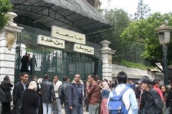 إشراك المؤسسات الاقتصادية ضروري لإنجاح نظام  أل أم دي