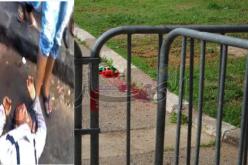 تشييع اليوم جنازة مناصر مولودية الجزائرية حذيفة